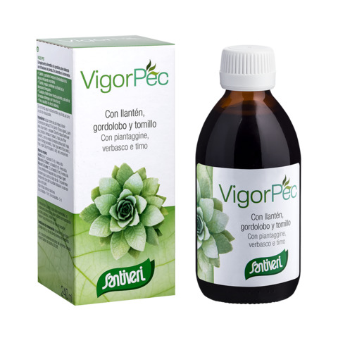 sistema respiratorio JARABE VIGOR-PEC 240ml