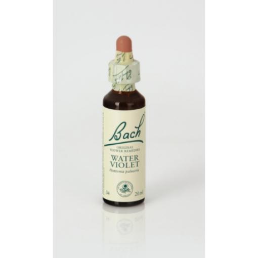 flores bach BACH 34 WATER VIOLET (VIOLETA DE AGUA) 20ml