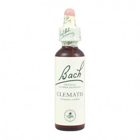 BACH 9 CLEMATIS (CLEMATIDE) 20ML