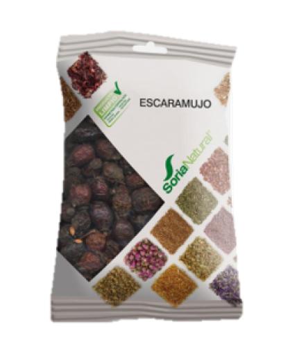 plantas en bolsa ESCARAMUJO 100 GR