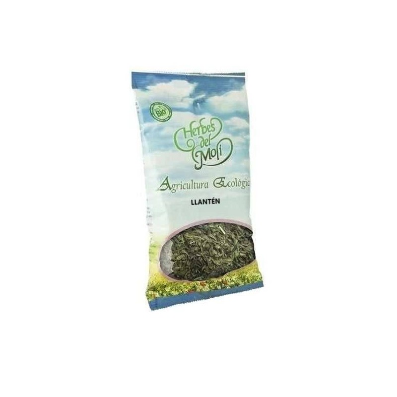 plantas en bolsa LLANTEN HOJA 30Gr